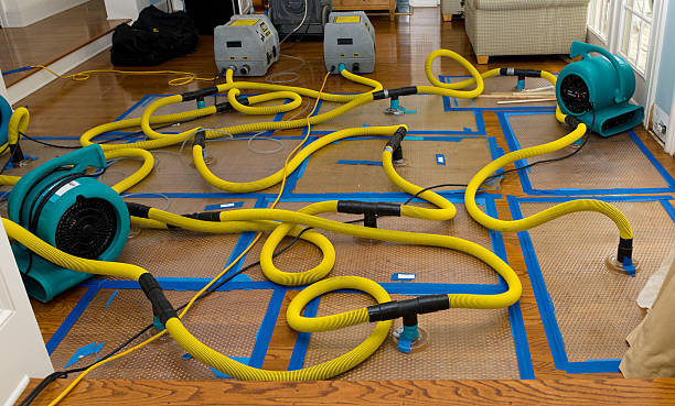 Professional Structural Drying And Dehumidification technician working in Polk, PA